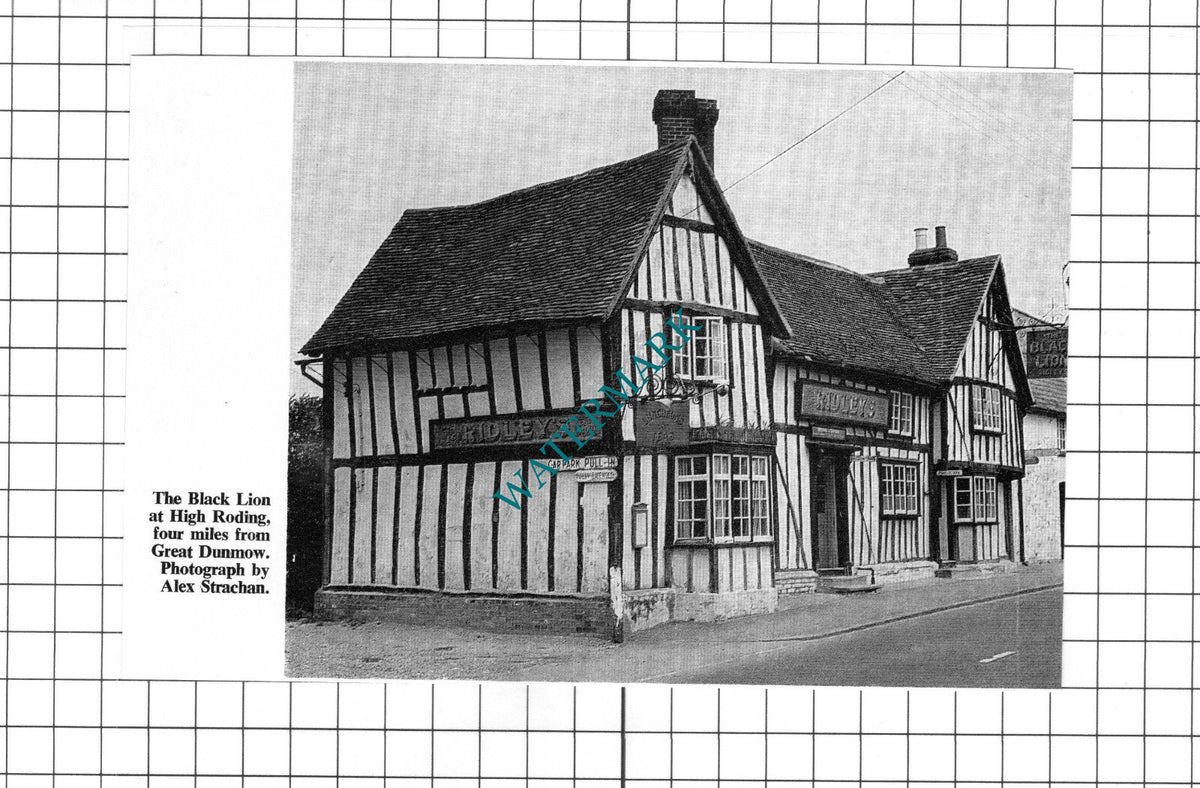 The Black Lion High Roding Essex   - c.1967 Clipping / Print