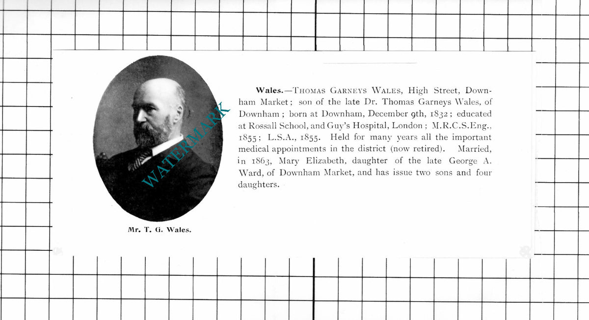 Robert Tilley Thetford Norfolk Thomas Garneys Wales Downham Market 1911 Clipping
