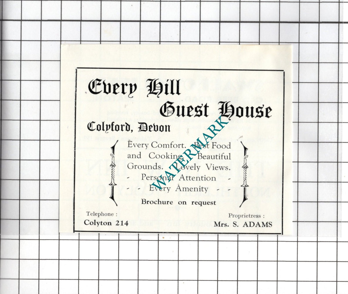 Cherry Hill Guest House Colyford Devon Mrs S Adams - c.1954 Small Advert