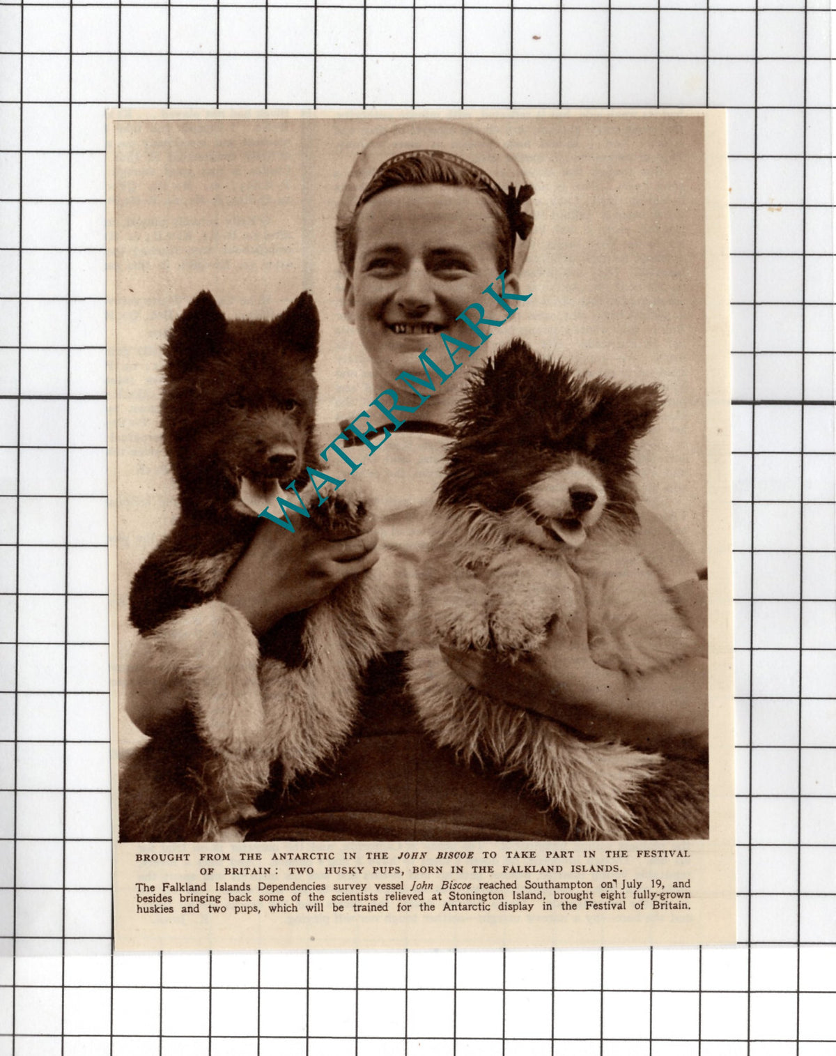John Biscow Ship Stonington Island  Falkland Island Husky Dogs - 1950  Cutting