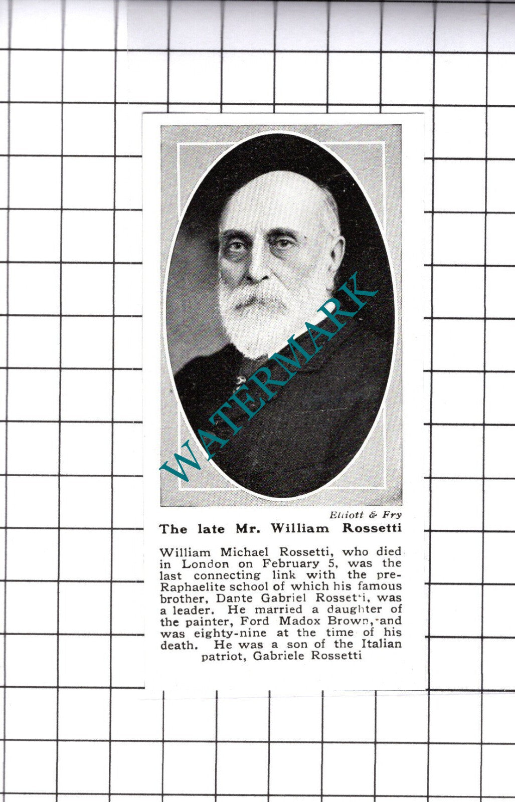 Mr William Rossetti Obituary  - 1919 SMALL Cutting