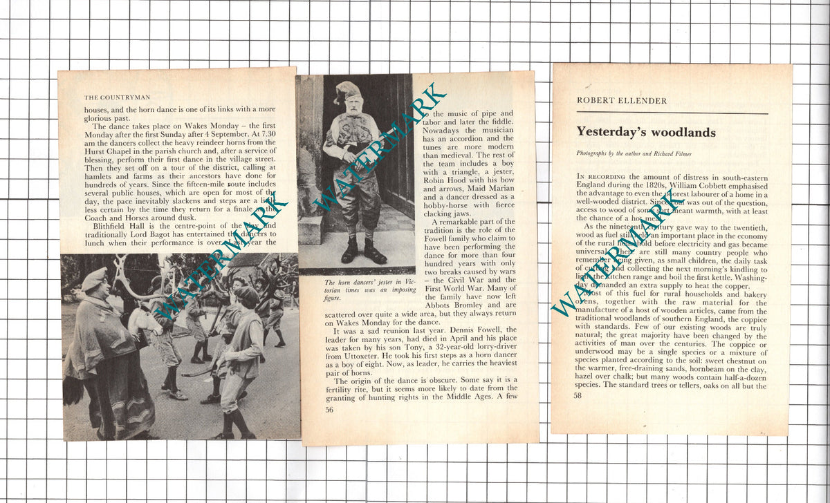 Abbots Bromley Horn Dancers  - 1983 Small Article
