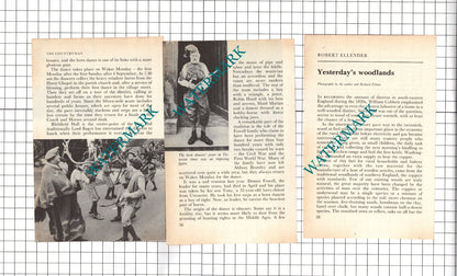 Abbots Bromley Horn Dancers  - 1983 Small Article