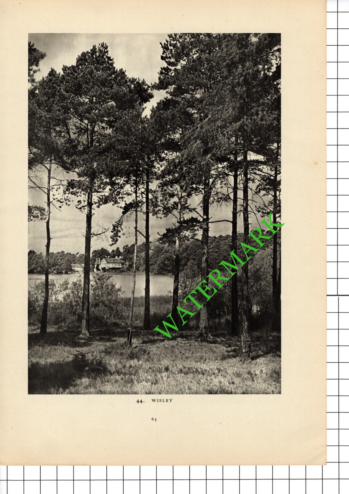 Epsom Racecourse / Wisley Surrey - 1949 Book Print