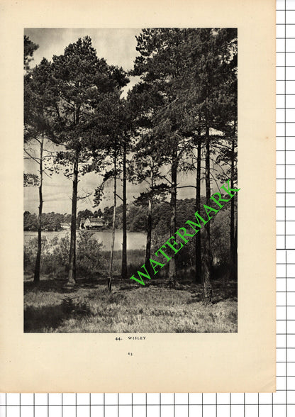 Epsom Racecourse / Wisley Surrey - 1949 Book Print