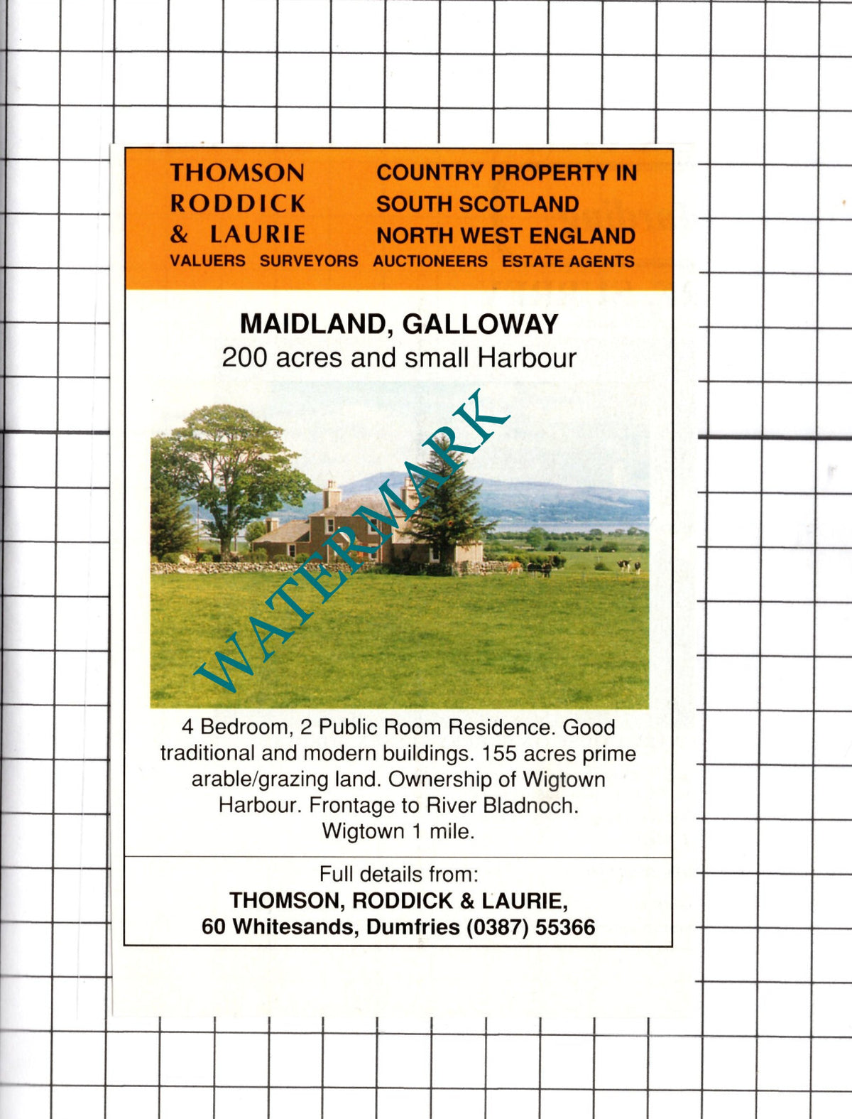 Maidland Galloway Scotland House Sale Advert - 1991 Cutting