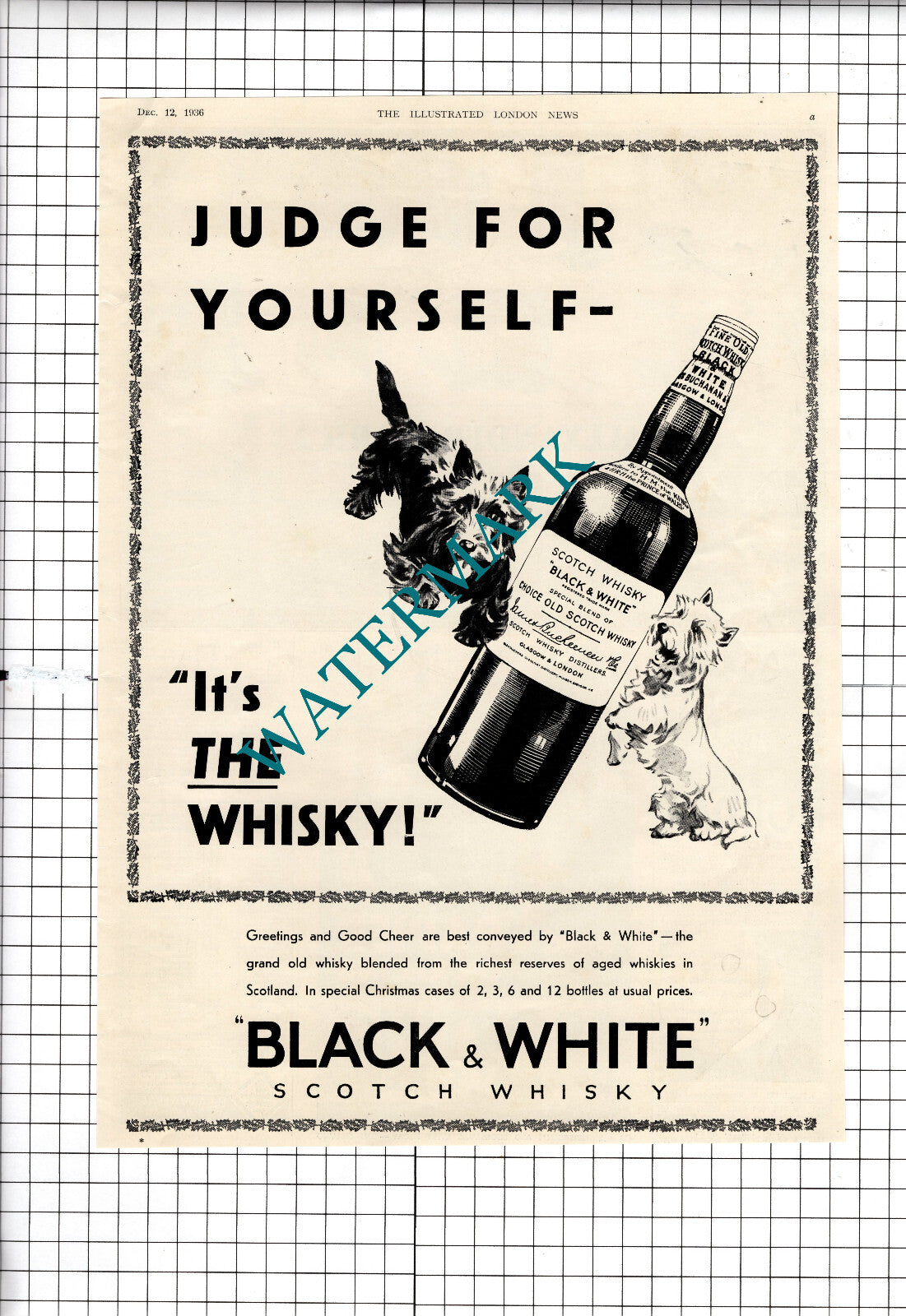 Black & White Whisky Advert Dogs - 1936 Advert /Clipping