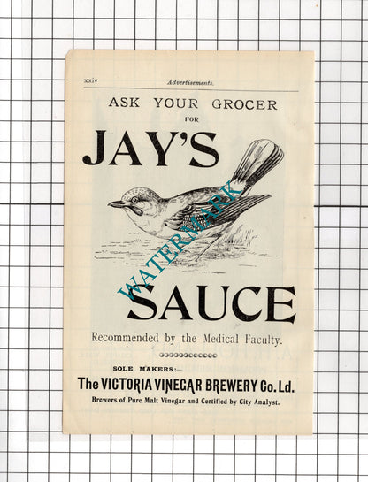 A H Holland Sheffield / Jay's Sauce Victoria Vinegar Brewery c.1910 Small Advert
