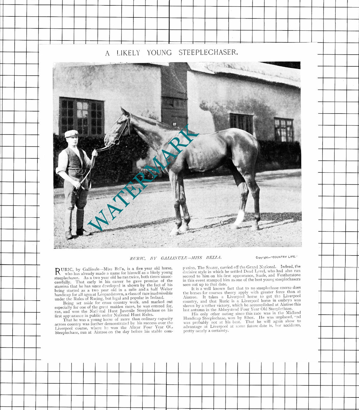 Ruric by Gallinule Miss Bella Horse Steeplechase - 1897 Clipping