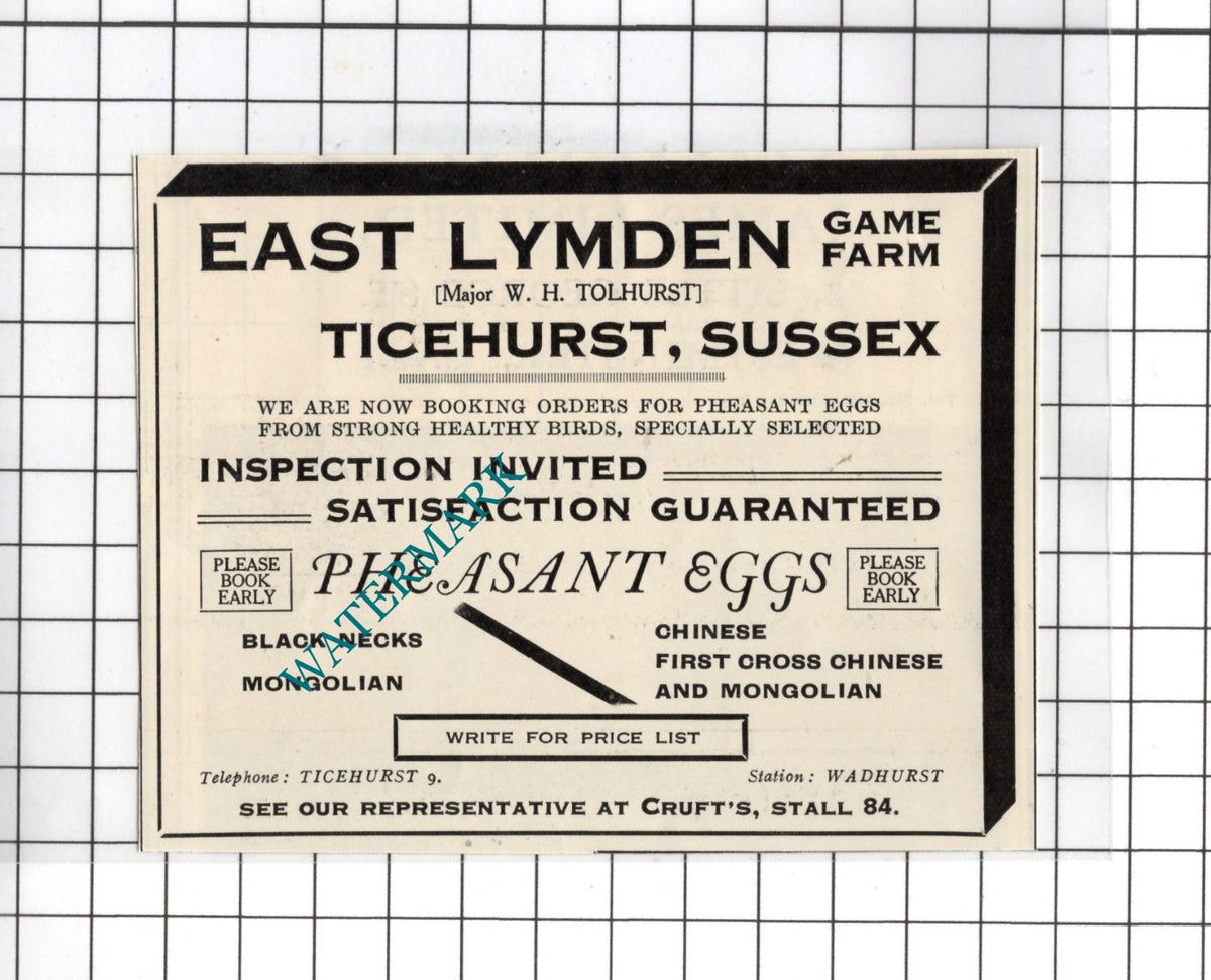 East Lymden Game Farm Ticehurst Sussex Major W H Tolhurst - 1926 SMALL Advert