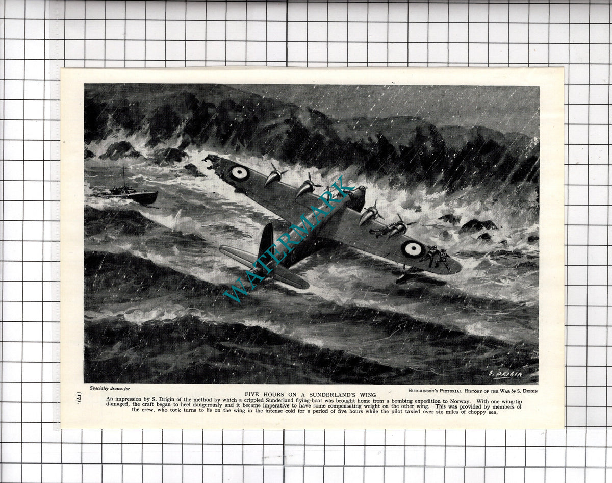 Sunderland Flying Boat World War Two  WW2 S Drigin - 1940's Cutting