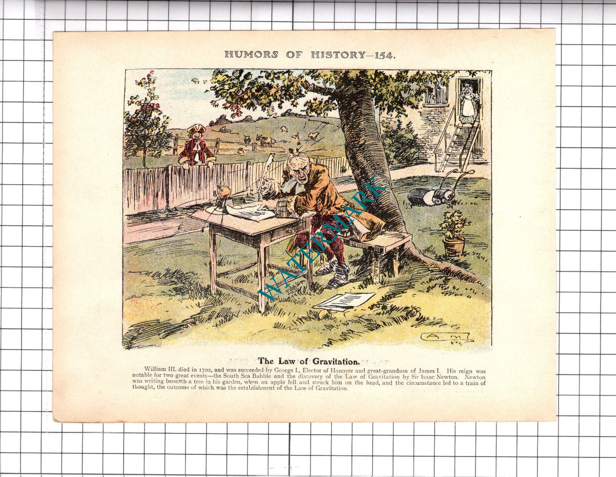 Isaac Newton Apple Tree  - c.1921 Clipping / Print