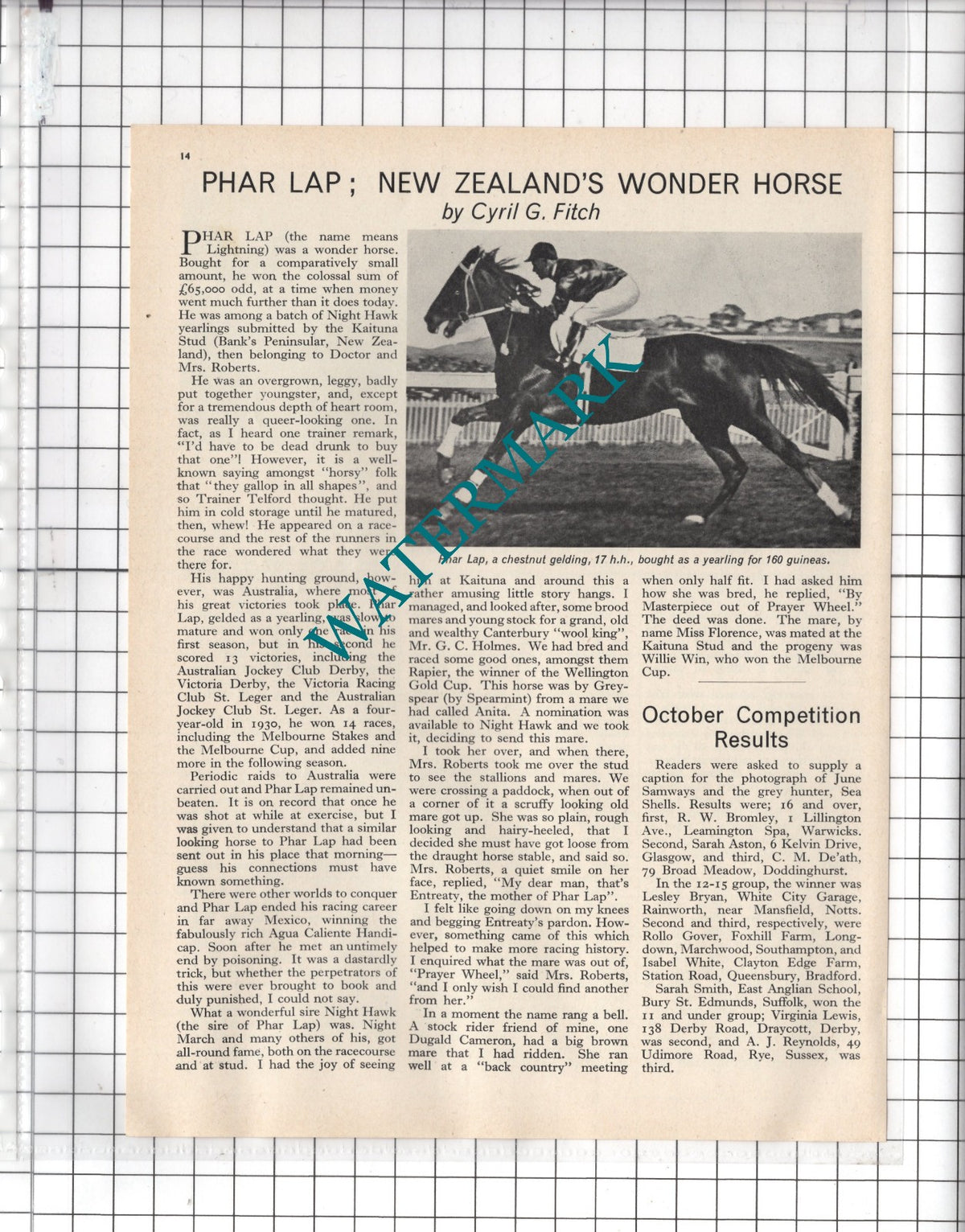 Phar Lap Horse New Zealand Doctor Roberts  - 1966 Article