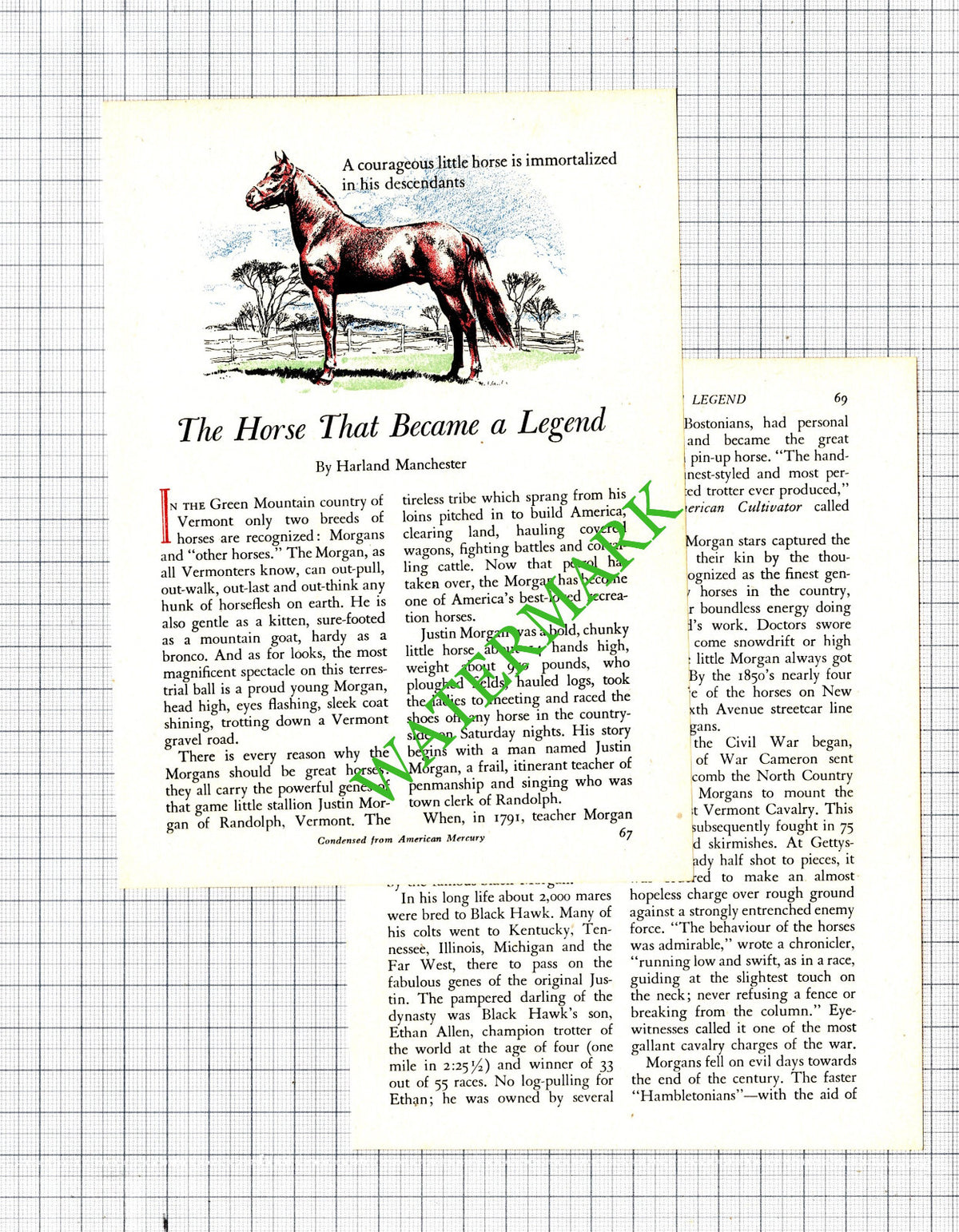 Justin Morgan Randolph Vermont Horse Robert Evans  - 1955 Article