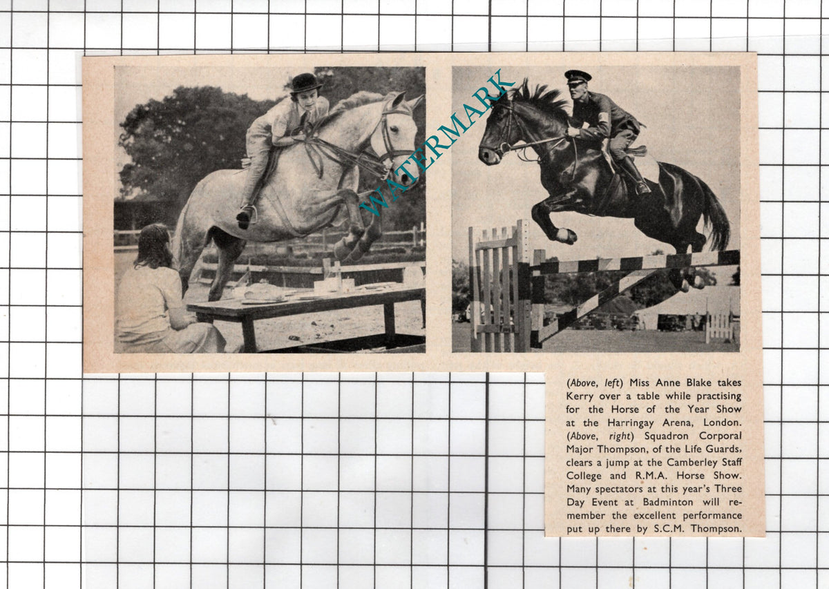 Miss Anne Blake Horse Rider   Major Thompson Life Guards  -  1949 Clipping