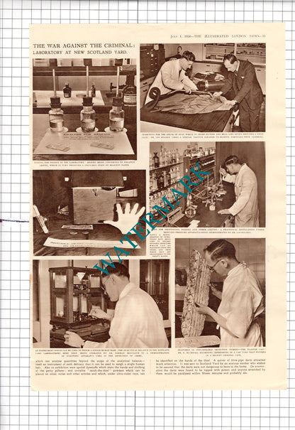 Dr Ian Holden TURFITT Metropolitan Police Lab New Scotland Yard - 1950 Article
