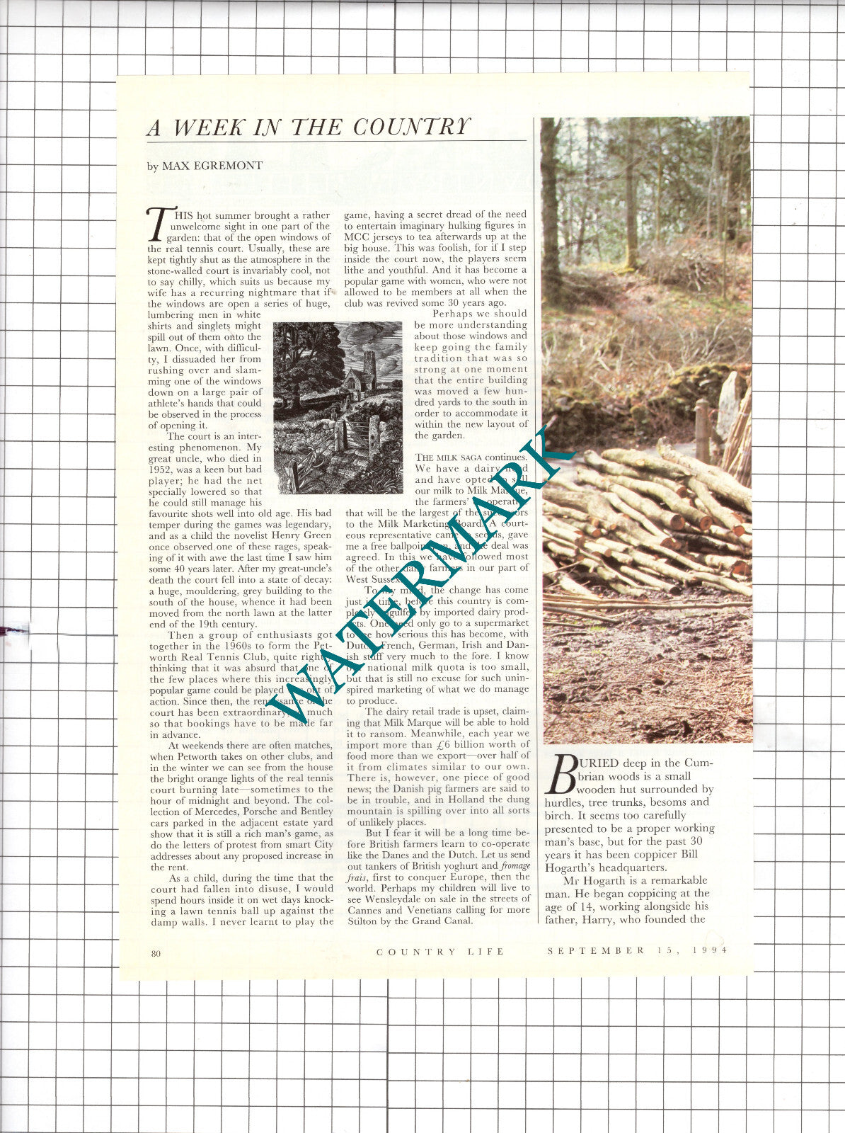 Bill Hogarth Coppicer Hay Bridge Nature Reserve Cumbria - 1994 Article