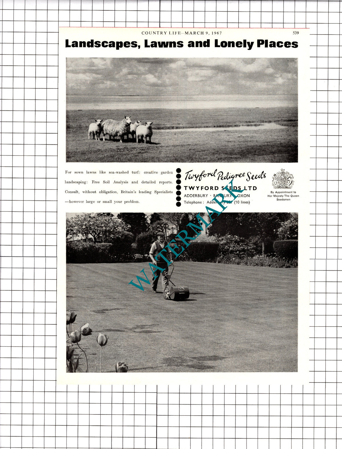Twyford Pedigree Seeds Ltd Adderbury Banbury Advert -  1967 Cutting / Print