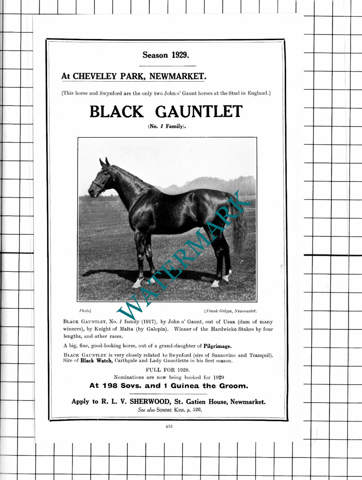 Black Gauntlet Racehorse Horse RLV Sherwood St Gatien Hse Advert - 1927 Clipping