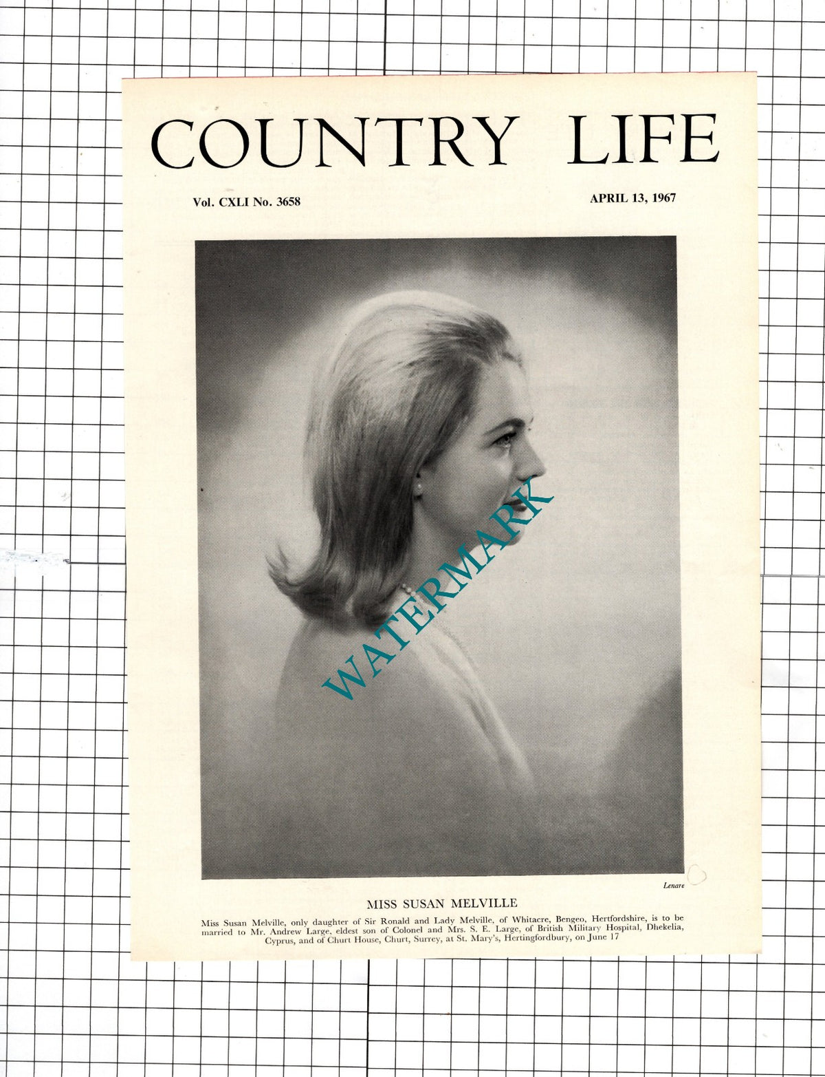 Susan Melville Whitacre Bengeo Hertfordshire Andrew Large  Churt - 1967 Clipping