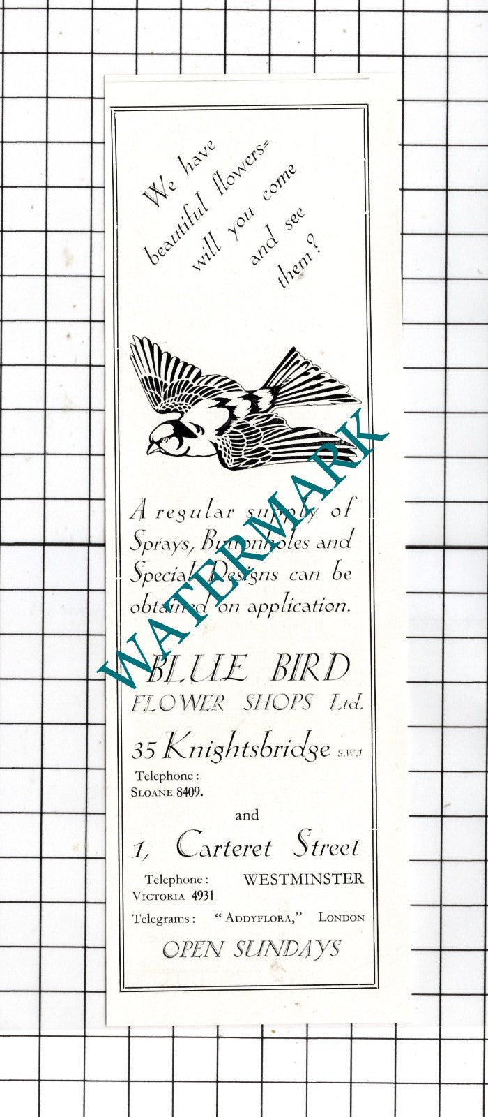 Blue Bird Flower Shops Ltd London -   1932 Small ADVERT