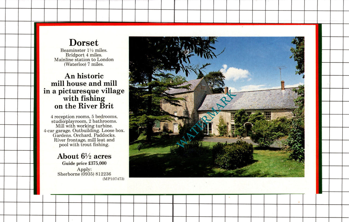 Beaminster Dorset Mill House Sale Advert - c.1991 Cutting