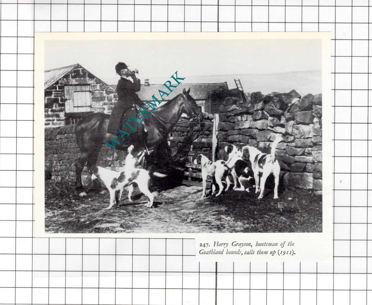 Harry Grayson Goathland Hounds Huntsman Yorkshire   -  Small Clipping
